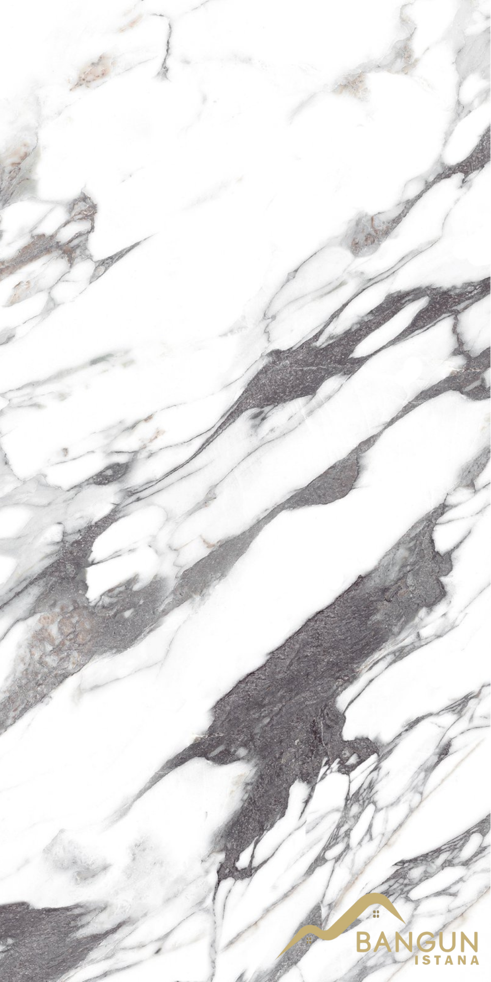 ASIA TILE 25X40 EVEREST GREY